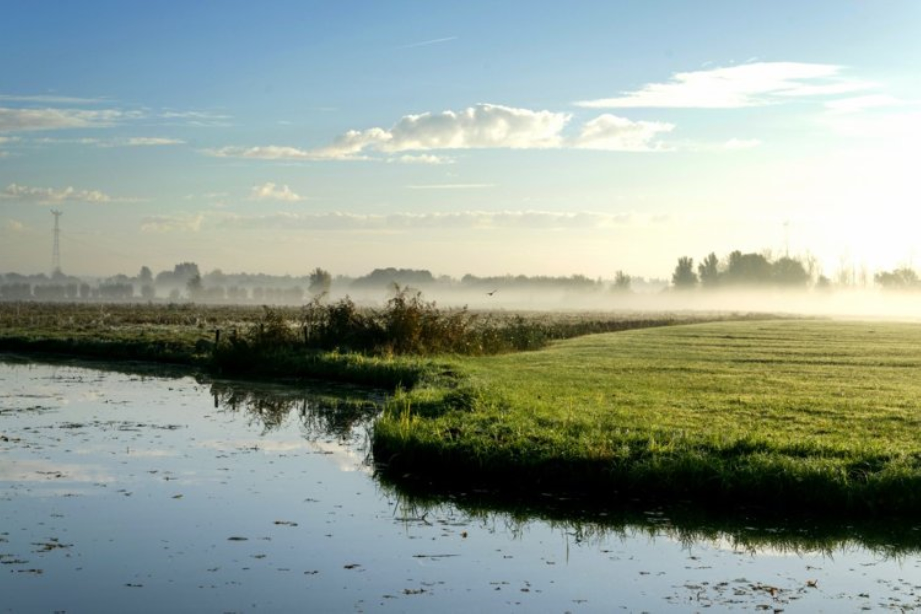 Nl biodiversiteit 2 3
